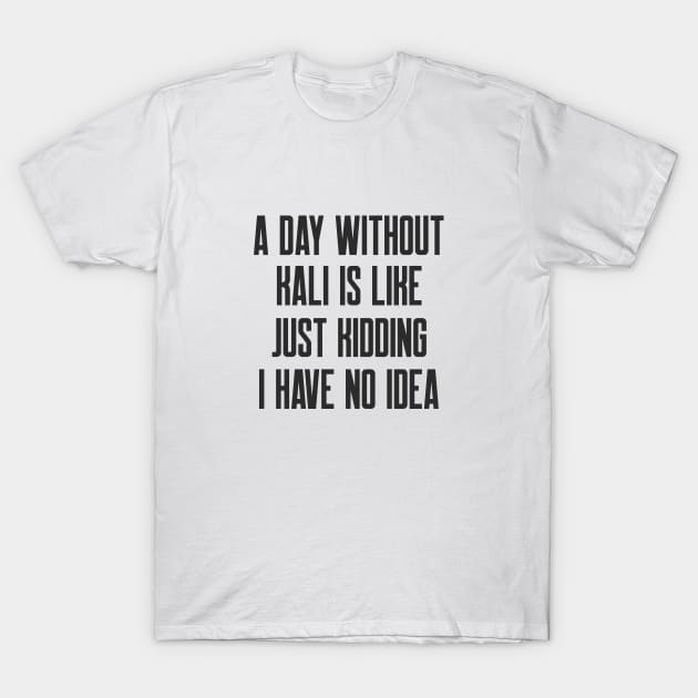 Cybersecurity A Day Without Kali Is Like Just Kidding I Have No Idea T-Shirt by FSEstyle